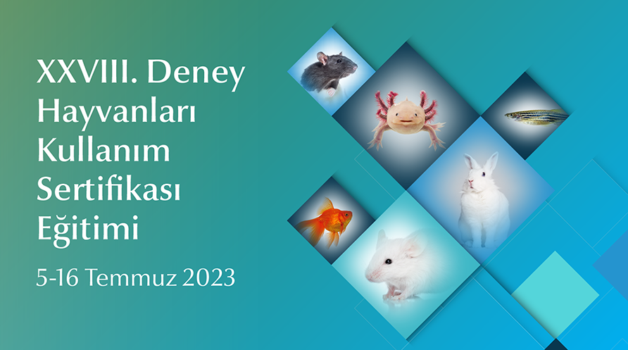 xxviii.deney_hayvanlari_kullanim_sertifikasi_egitimi_2022-01.png