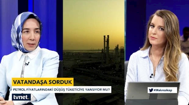 c271-HaticeKarahan_MakroskopMayis2016.png
