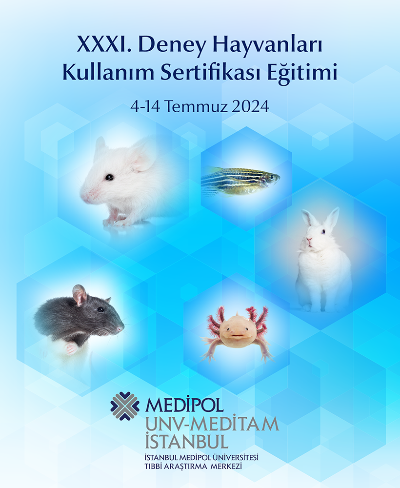 asd