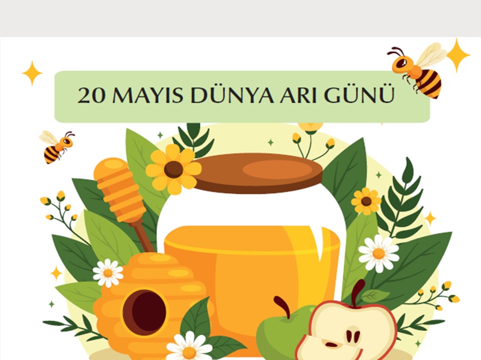 oığp