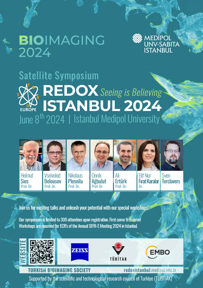 redoxistanbul.jpg