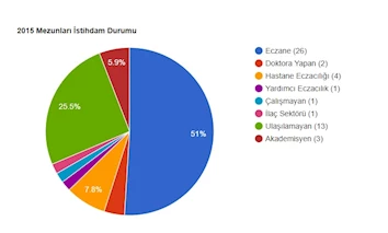 2015 Mezunları İstihdam Durumu