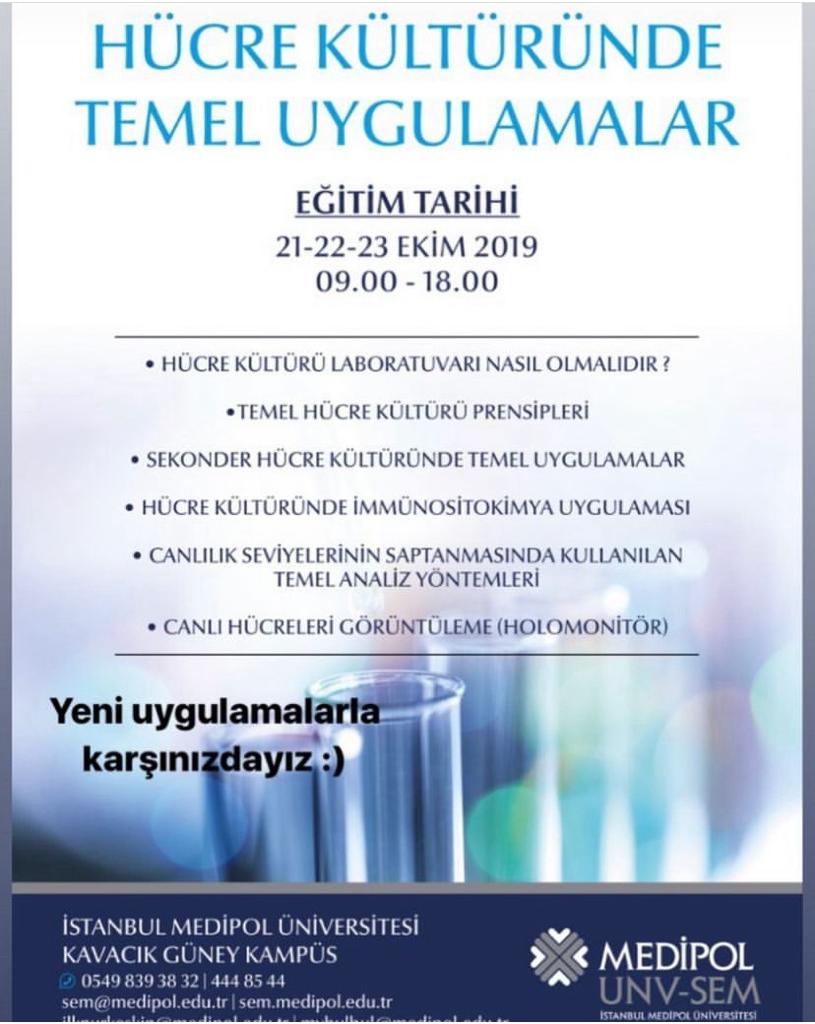hücre kültürü